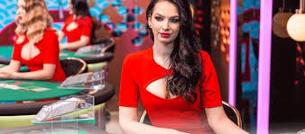 44 bet